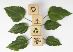 sustainable-development-goals-still-life