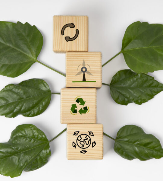 sustainable-development-goals-still-life